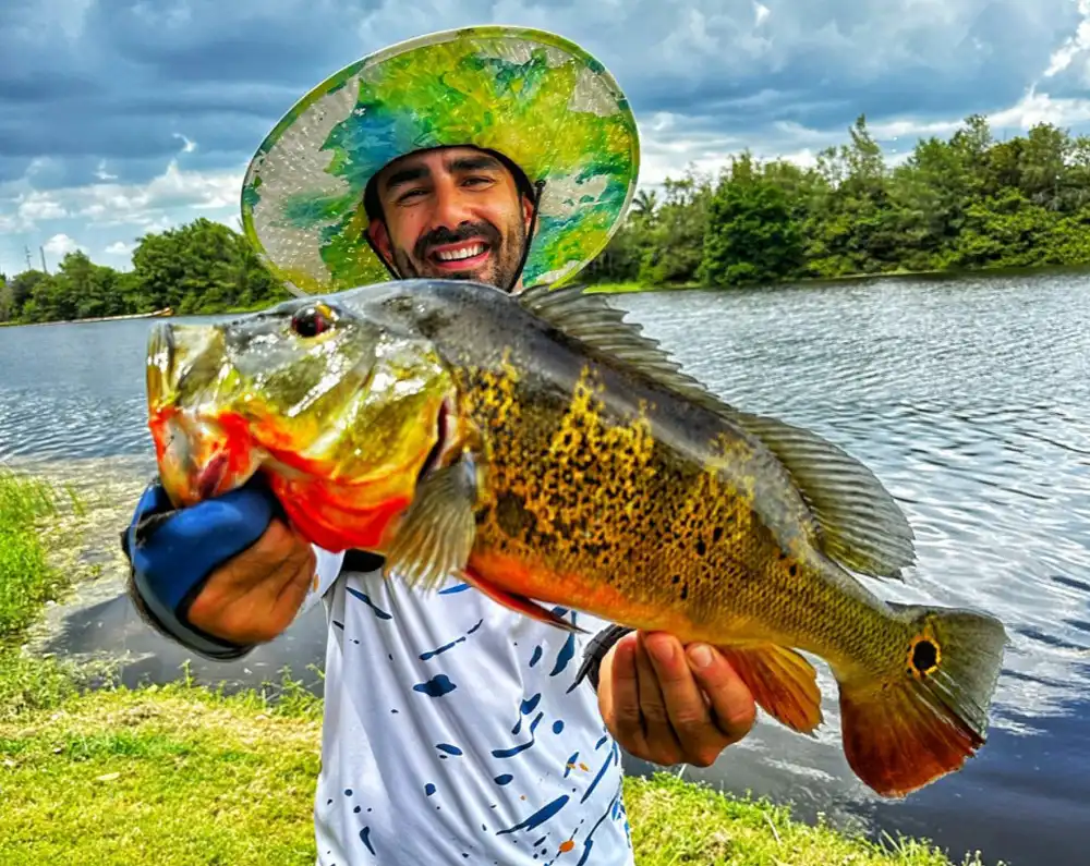 Add catch