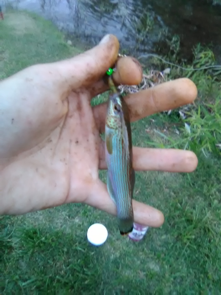 large