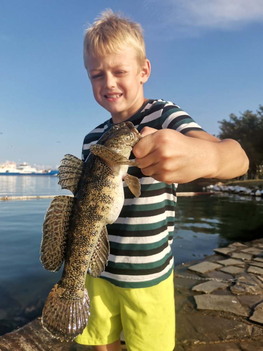 IMG_20241004_195921